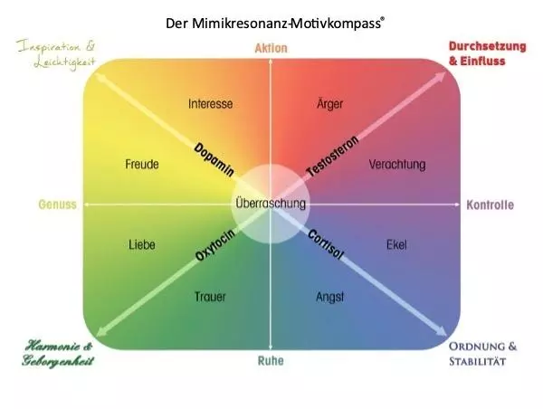 Mimikresonanz-Motivkompass