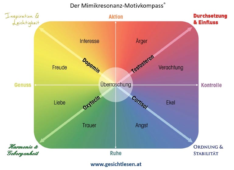 Der Mimikresonanz-Motivkompass Farbiges Diagramm mit vier Quadranten, das Emotionen wie Freude, Ärger, Angst und Trauer sowie zugeordnete Begriffe darstellt.