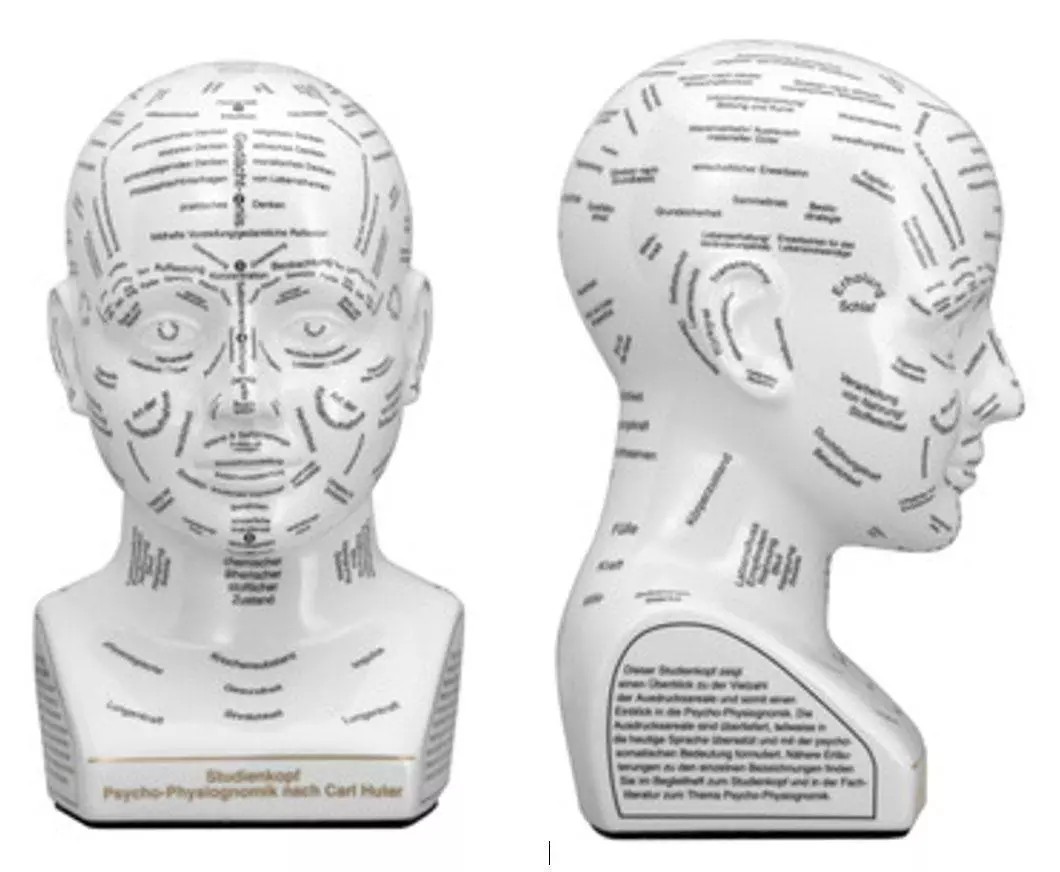 Weißes Büstenmodell eines menschlichen Kopfes mit zahlreichen beschrifteten Zonen zur Gesichts- und Kopfdeutung für das Gesichtlesen, dargestellt in Vorder- und Seitenansicht.