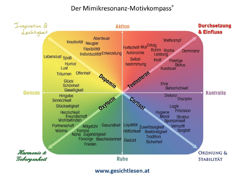 Weißes Büstenmodell eines menschlichen Kopfes mit zahlreichen beschrifteten Zonen zur Gesichts- und Kopfdeutung für das Gesichtlesen, dargestellt in Vorder- und Seitenansicht.